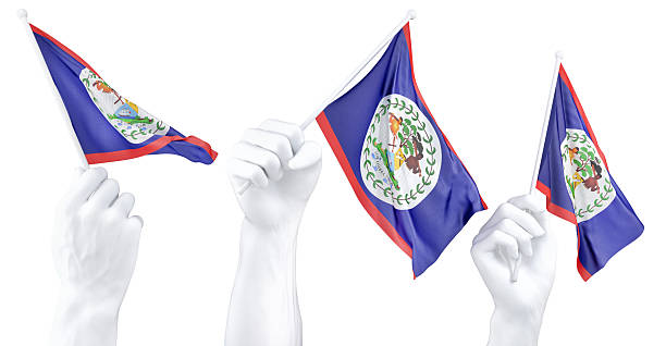 Hand holding flag of Belize. Isolated 3d Rendering.