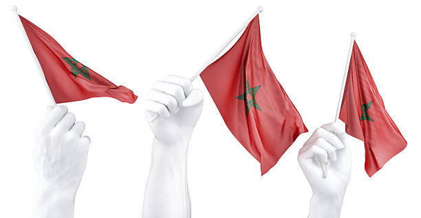 Hand holding flag of Morocco. Isolated 3d Rendering.
