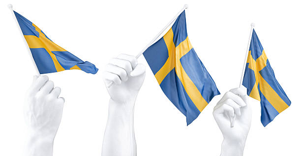 Hand holding flag of Sweden. Isolated 3d Rendering.