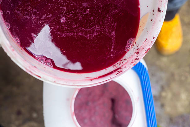 Freshly crushed grapes and juice are transferred to a container ready for winemaking