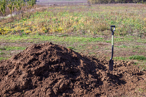 what now, remove molehills in the garden\nwith a hand shovel.\nIn the background the garden cart