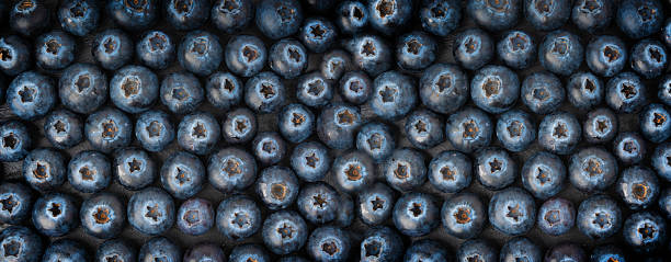 Blueberry texture background. Fresh blue berry fruits pattern, bilberry wallpaper with copy space