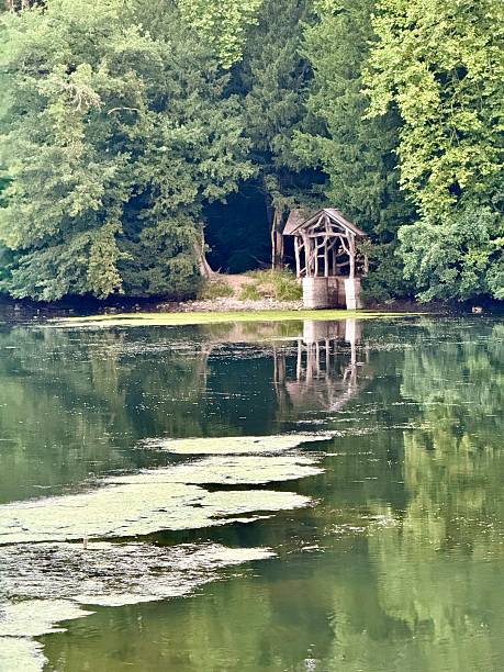 istock on the banks of a peaceful river 2234549598