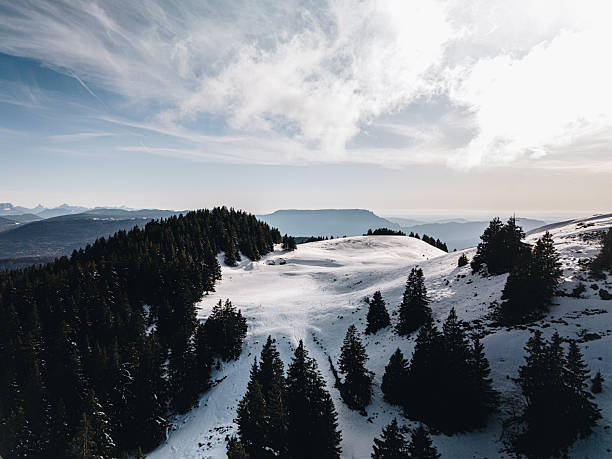 Aerial view on snowcapped landscape with pine trees and mountains looking through out the fog.