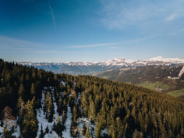 Aerial view of forest and snowcapped mountains, Semnoz, French Alps
