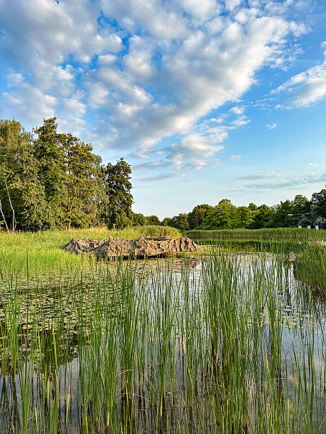 istock Lake in Britzer garden 2234560286