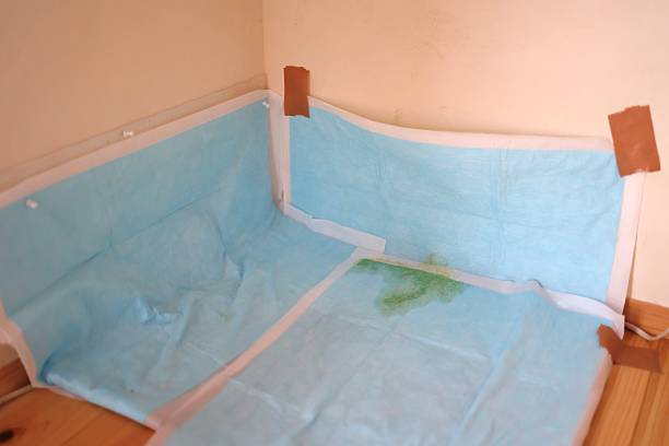 istock Dog urine stains on pet sheets. 2234564327