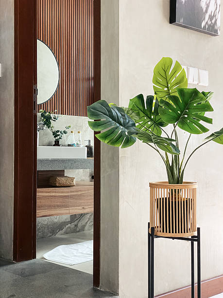 istock View from living room on bathroom interior 2234567119