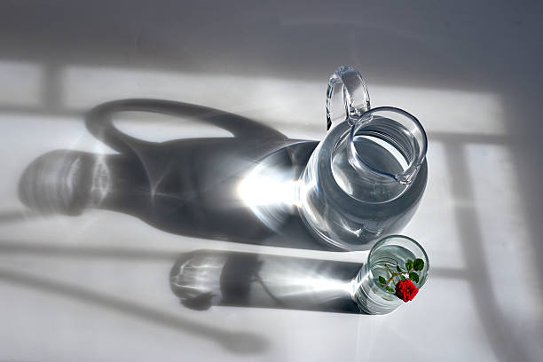 A minimalist and artistic flat lay of a water jug and a glass with a rose. Hard sunlight creates beautiful caustic reflections and strong, graphic shadows on a white background.