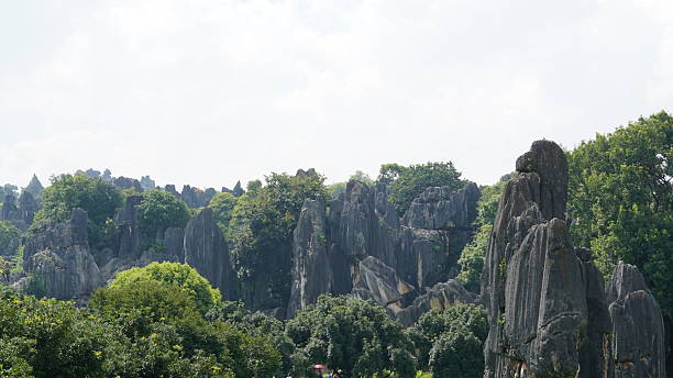 istock Stone Forest in Yunnan, China, karst landscape featuring dramatic limestone formations that resemble a vast forest of stone pillars 2234574908