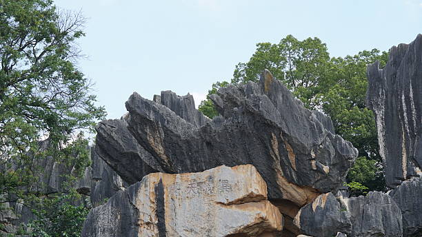 istock Stone Forest in Yunnan, China, karst landscape featuring dramatic limestone formations that resemble a vast forest of stone pillars 2234574931