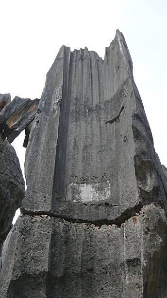 istock Stone Forest in Yunnan, China, karst landscape featuring dramatic limestone formations that resemble a vast forest of stone pillars 2234574941