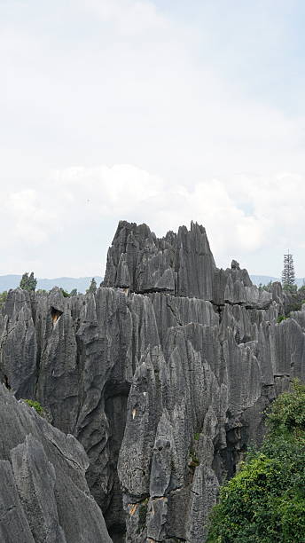 istock Stone Forest in Yunnan, China, karst landscape featuring dramatic limestone formations that resemble a vast forest of stone pillars 2234574979