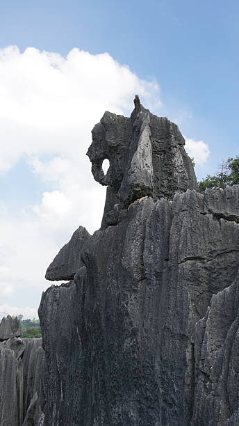istock Stone Forest in Yunnan, China, karst landscape featuring dramatic limestone formations that resemble a vast forest of stone pillars 2234574984
