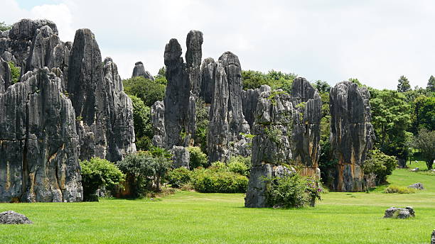 istock Stone Forest in Yunnan, China, karst landscape featuring dramatic limestone formations that resemble a vast forest of stone pillars 2234575054