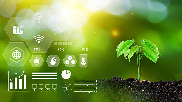 istock Young plant seedling growing at sunlight, Environmental and ecology concept, sources for renewable and sustainable development, Digital technology agriculture and smart farming concept. 2234580516