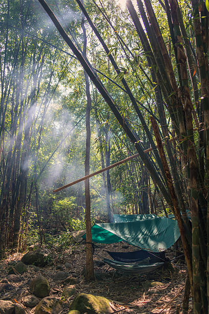 istock Camping hammock with tarp in bamboo forest with morning sunlight and smoke in wilderness 2234594589