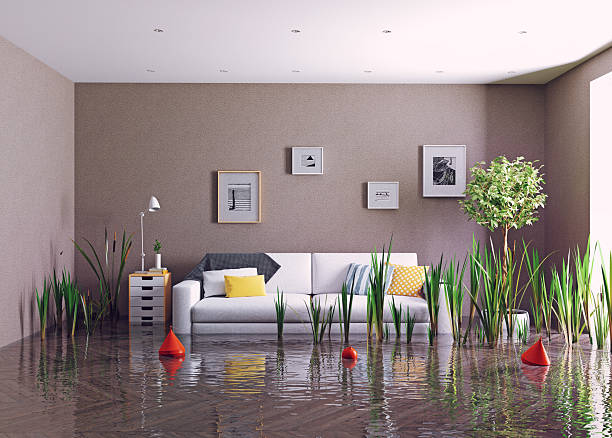 istock Modern Living Room Flooded 2234595039