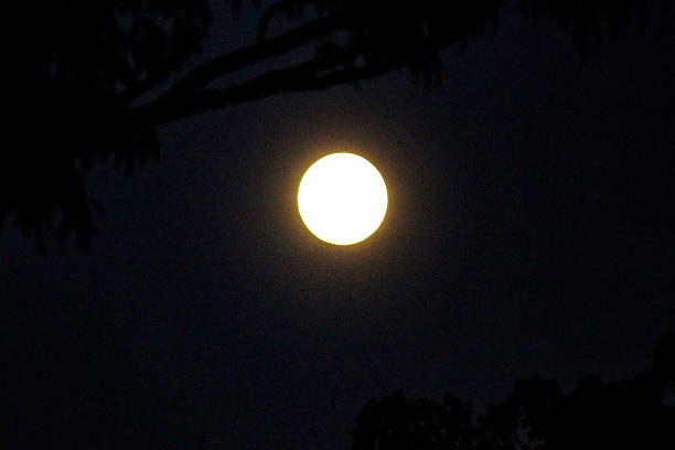 istock A silent sentinel in the night sky, casting its luminous spell 2234596090