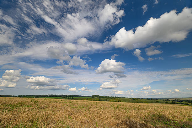A tranquil and serene countryside scene showcasing open fields, lush greenery, and a vibrant, cloudy sky above
