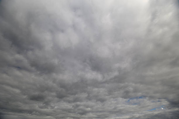 A stunning view of an expansive, cloudy sky with a beautiful blend of gray hues and soft cloud formations