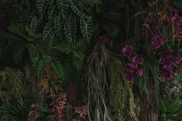 istock Green tropical natural leaves background image 2234599244