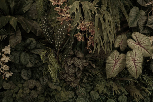 istock Green tropical natural leaves background image 2234599505