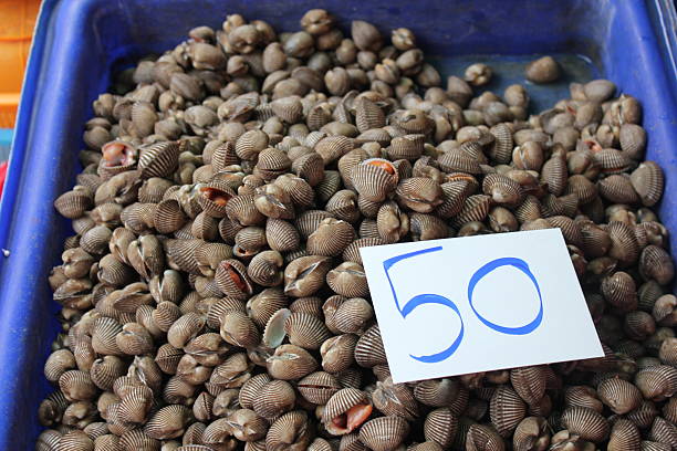 Khlong Toei Market Seafood Mollusk