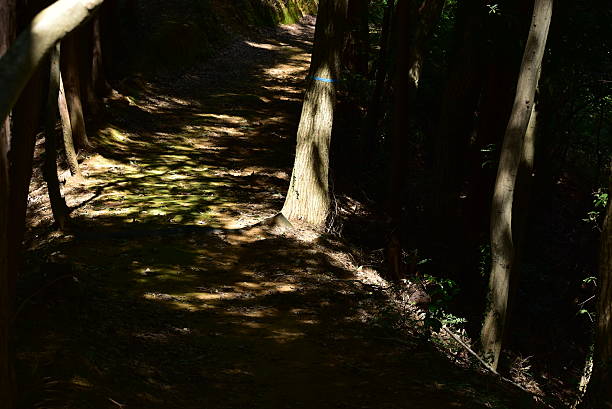 istock The scenery of nature path 2234605731