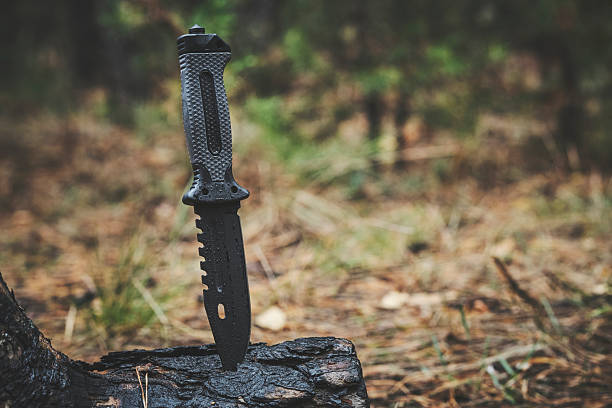 istock Wet, military tactical knife is stuck trunk fallen burnt tree in the forest. 2234605854