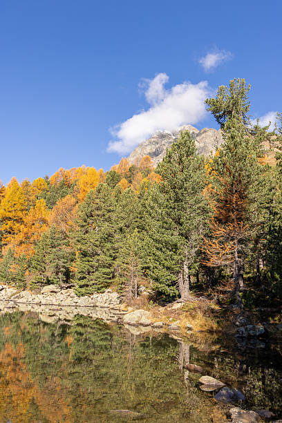 istock Autumn Trees Reflecting on Mountain Lake 2234609329