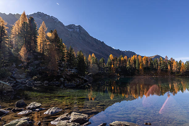 istock Autumn Trees Reflecting on Mountain Lake 2234609528