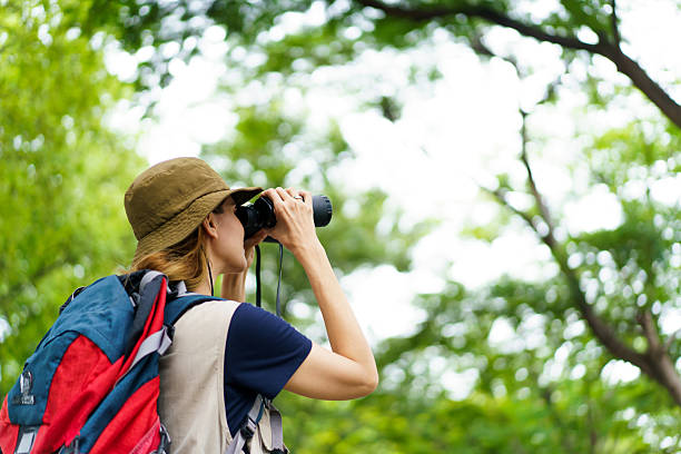 istock Asian - caucasian woman birdwatching with binoculars and notebook, studying nature. 2234609641