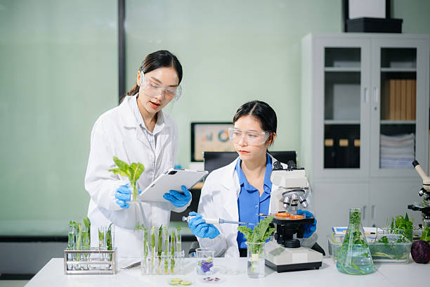 istock Scientist team testing food samples in lab with microscope, vegetables,  for safety, nutrition, and biotechnology 2234618023