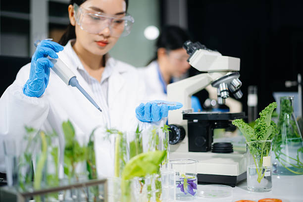 istock Scientist testing food samples in lab with microscope, vegetables, and meat for safety, nutrition, and biotechnology 2234618059
