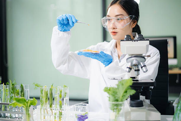 istock Scientist testing food samples in lab with microscope, vegetables, and meat for safety, nutrition, and biotechnology 2234618063