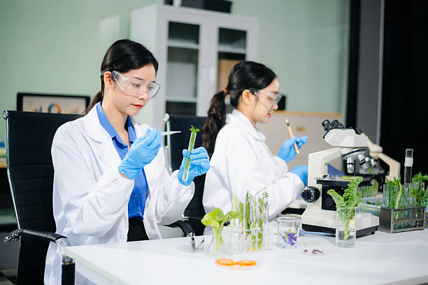 istock Scientist team testing food samples in lab with microscope, vegetables,  for safety, nutrition, and biotechnology 2234618075