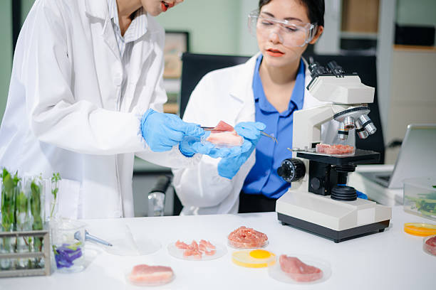 istock Asian food scientists inspect raw meat samples under microscope for biotech research, hygiene, and food safety analysis. 2234618081