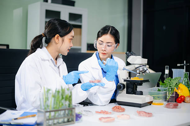 istock Asian food scientists inspect raw meat samples under microscope for biotech research, hygiene, and food safety analysis. 2234618106