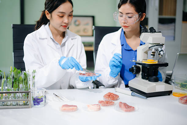 istock Asian food scientists inspect raw meat samples under microscope for biotech research, hygiene, and food safety analysis. 2234618113