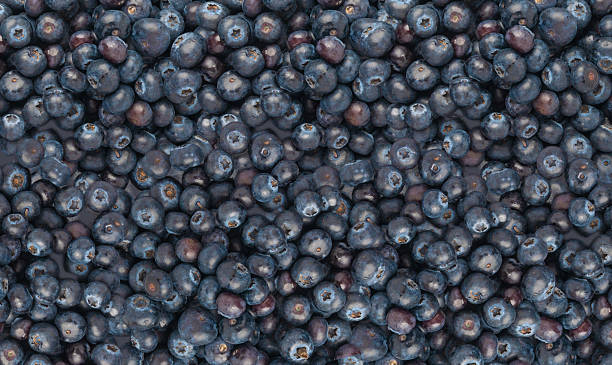 istock Blueberry texture background. Fresh blue berry fruits pattern, bilberry wallpaper with copy space 2234618145