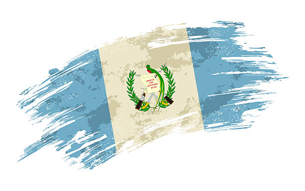Guatemalan flag brush stroke grunge background. Vector illustration.