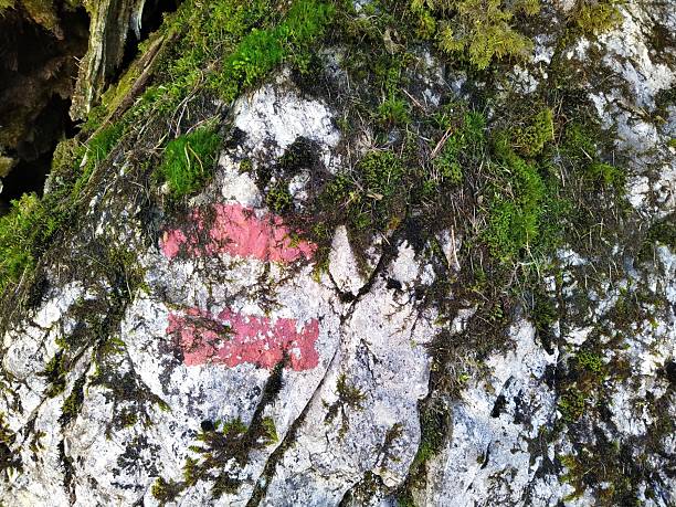istock Trail Marker on Moss-Covered Rock in Forest 2234618882