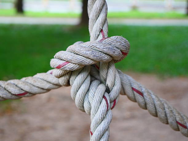 istock A large rope tied into a knot, tied to a large tree. 2234620054