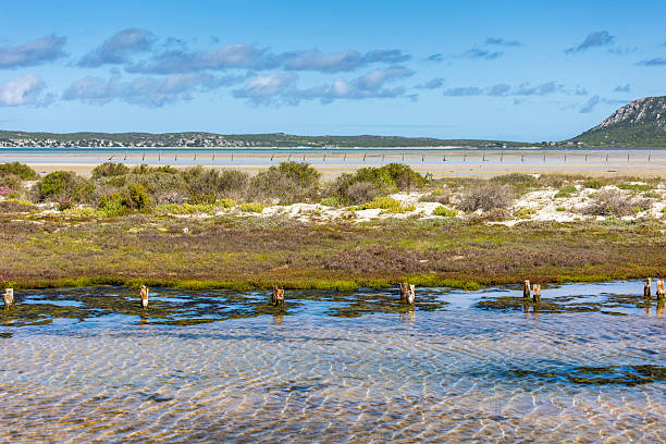 istock West Coast National Park Estuary Landscape with Water, Sandy Beach 2234624202