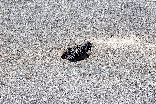 A close-up of a black circular drain grate on a flat roof with visible damage and misalignment, indicating poor maintenance or structural failure in the rainwater drainage system with selective focus