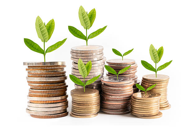 istock Malaysia flag on coffee bean, import export trade online commerce. 2234626325