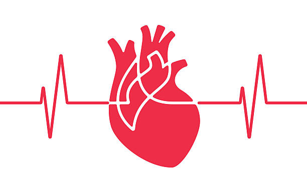 Health Heart Pulse Trace Red Abstract Background Red health heart pulse cardiography pulse trace abstract background. cardiac arrhythmia stock illustrations