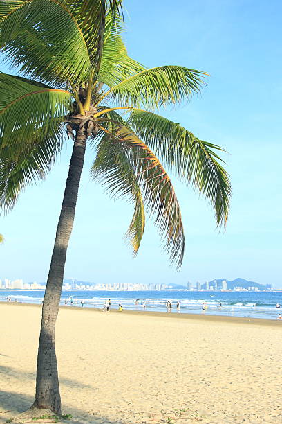 Itaguare beach, Bertioga, Brazil just before sun apear on the horizon
