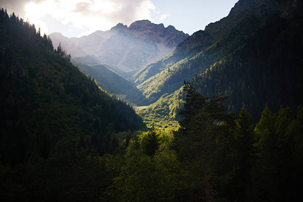 Mountain landscape featuring sunlit valley surrounded by dense green forest and tall peaks with dramatic sunlight streaming through clouds illuminating slopes and treetops